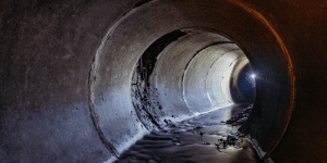 SHEA Drains and Sewers Training