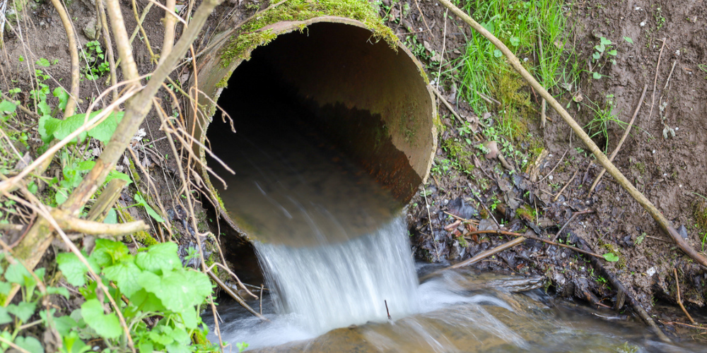Staying Healthy When Working Around Wastewater: Practical Safety for Drainage Workers